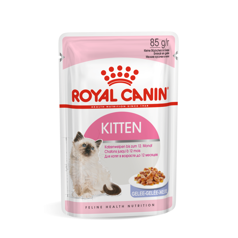 Kitten Jelly Wet Food For Cat