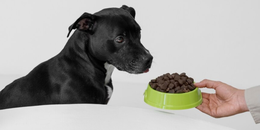 Royal Canin Dog Food – Compare with Drools & Pedigree